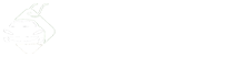 App Landing Page